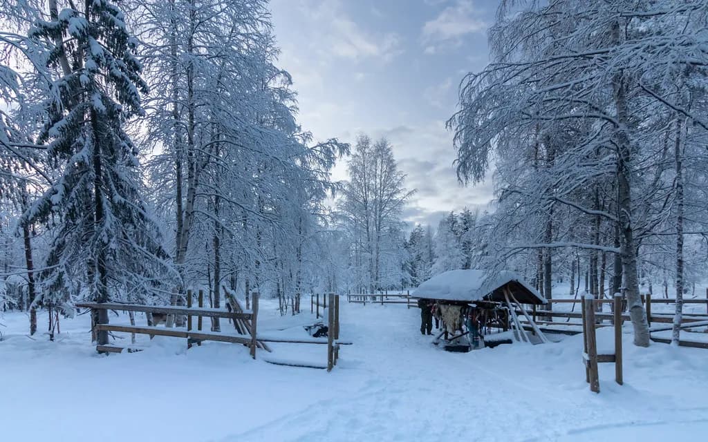 Sámi National Day in Finnish Lapland: Travel Guide