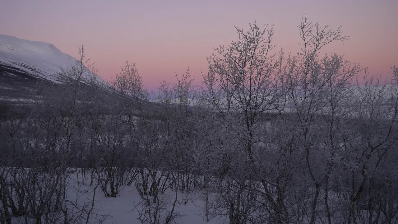 Sunrise in lapland, Abisko