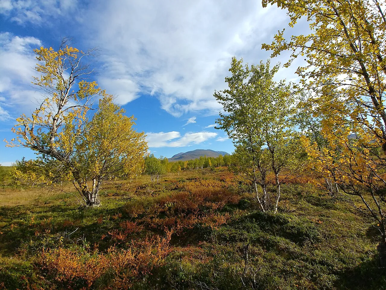 Abisko nationalpark HDR)