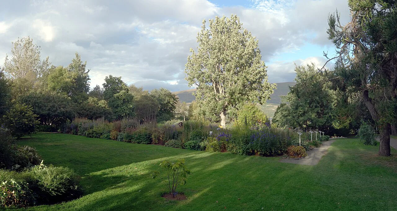 Akureyri Botanical Garden Panorama