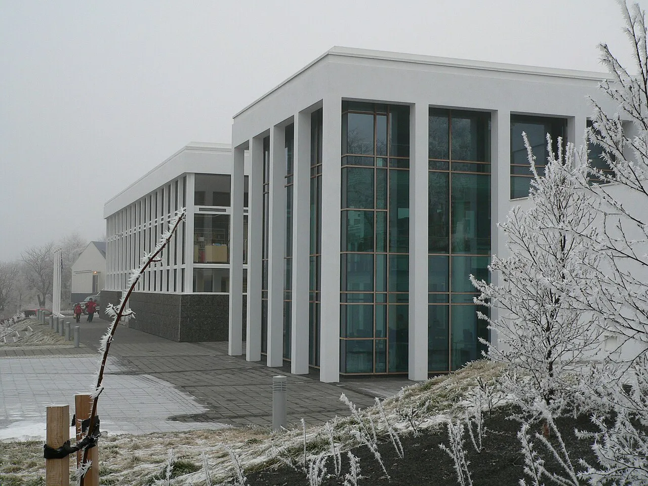 Snow crystallization in Akureyri