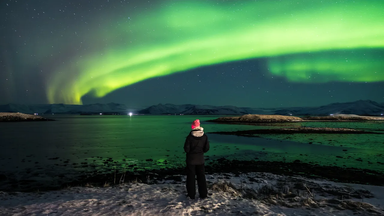 Enjoining the Northern Lights - Hofn, Iceland - Travel photography, Europe