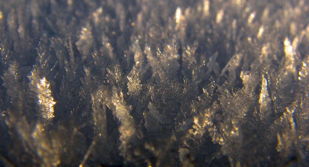 Patterns, Finnish Lapland