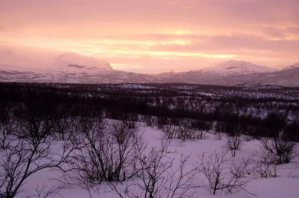 Walking around Abisko, Swedish Lapland