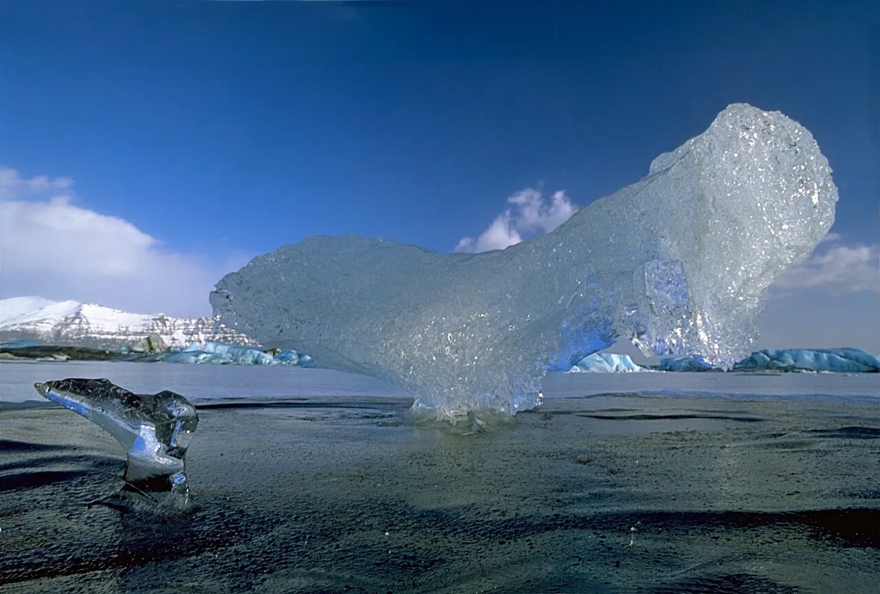 IceBirdWithFledgling, Jökulsárlón