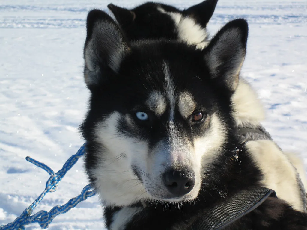Finnish Lapland, Finland