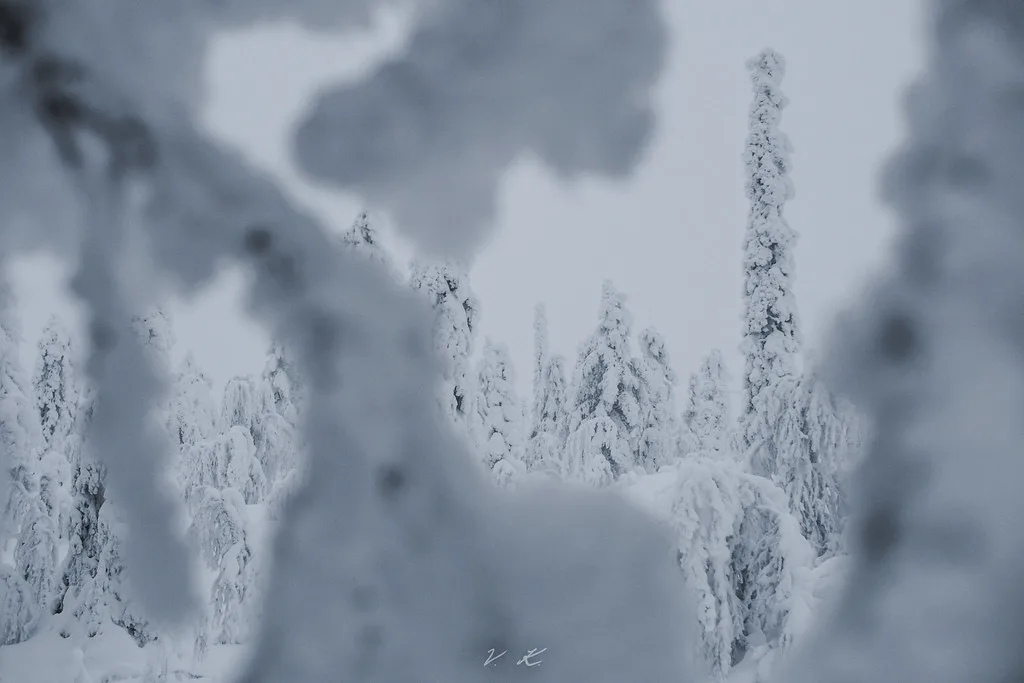 Hiding, Finnish Lapland