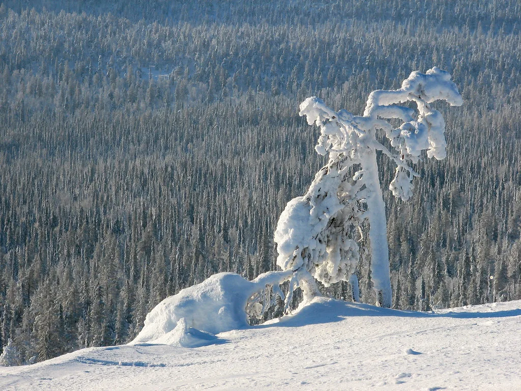 Day 2 #, Finnish Lapland