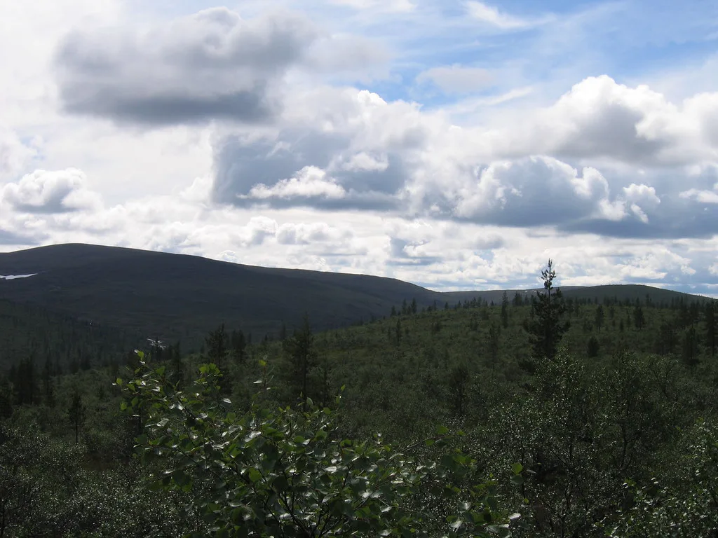 A view from Kaarnepää, Finnish Lapland
