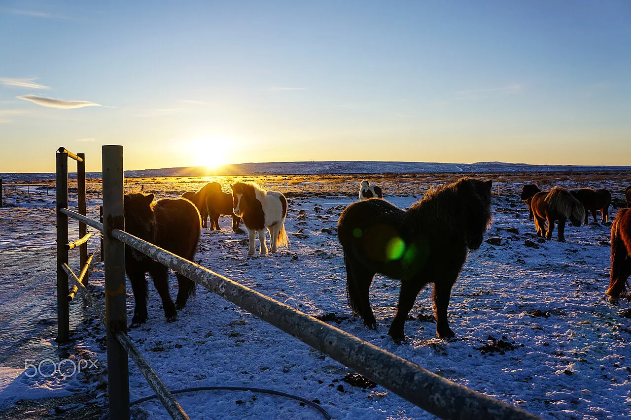 Iceland, Iceland