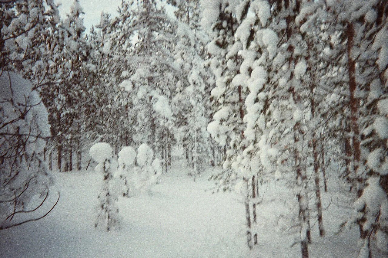 Laponie, Inari