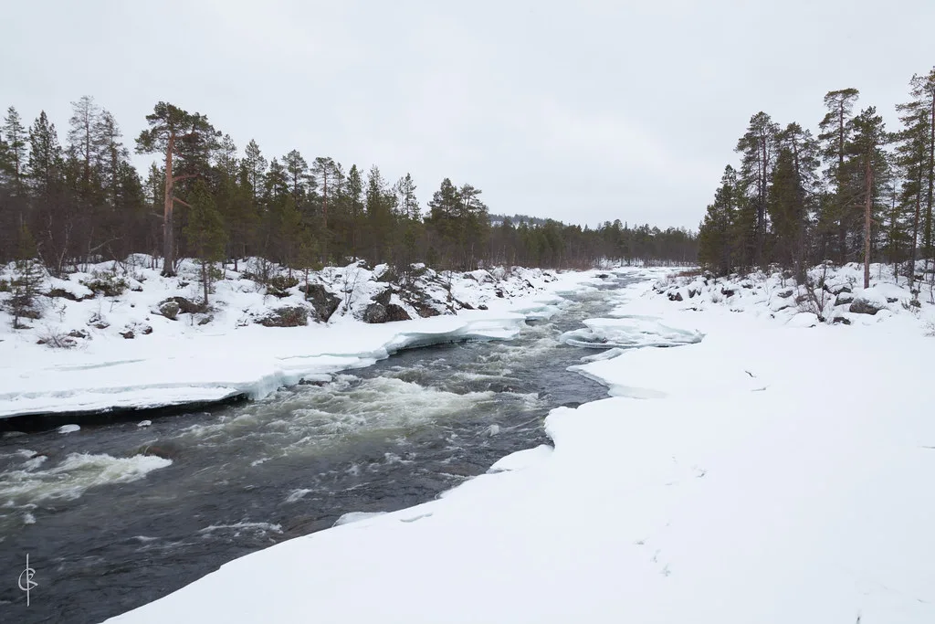 The river Inari