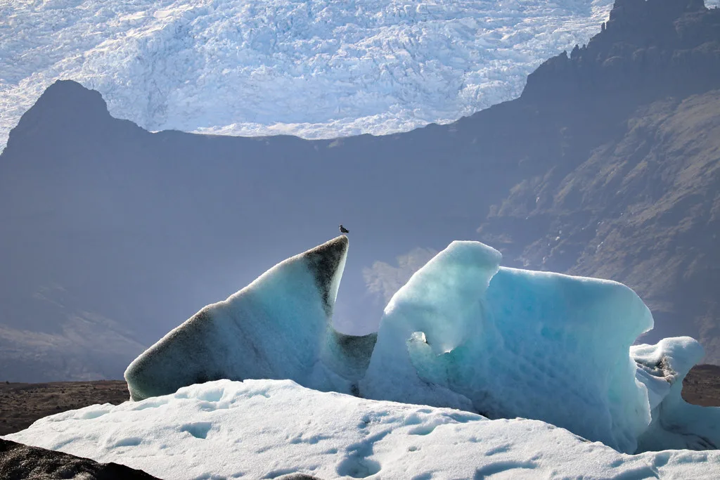 Jökulsárlón, Iceland