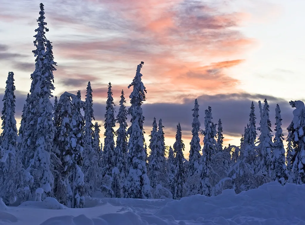 Lappland, Levi