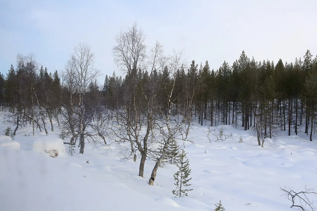 Inarijärventie (Inari, Suomi - Finland) a