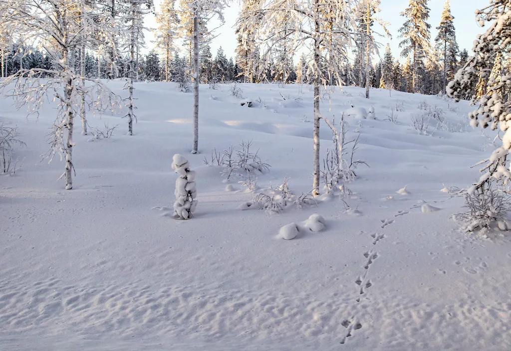 Lapland, Finland, Finnish Lapland