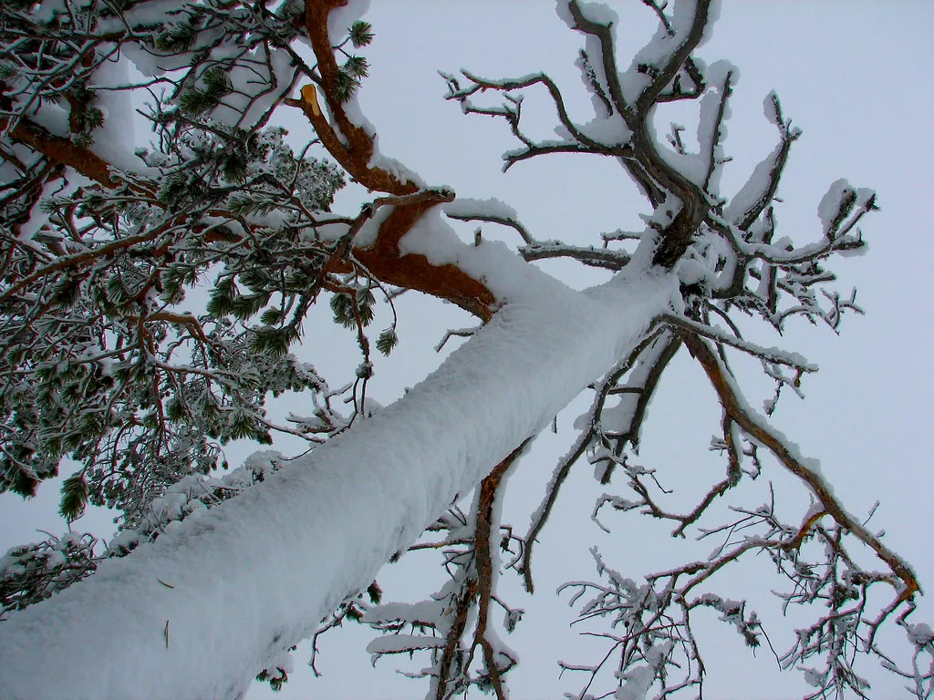 Day 4 #, Finnish Lapland