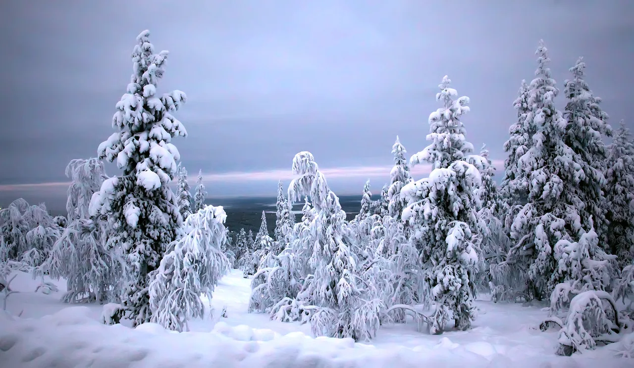 Levi, Finland