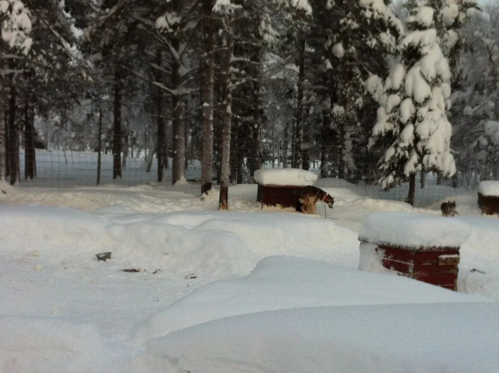 Lappland, Levi