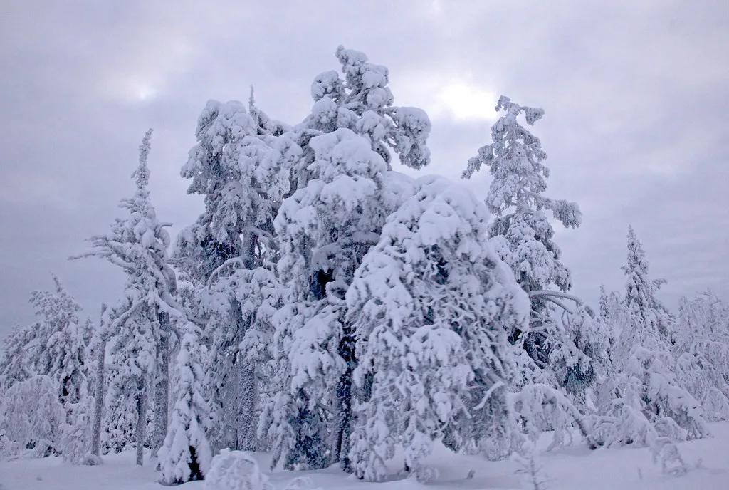 Levi, Finland