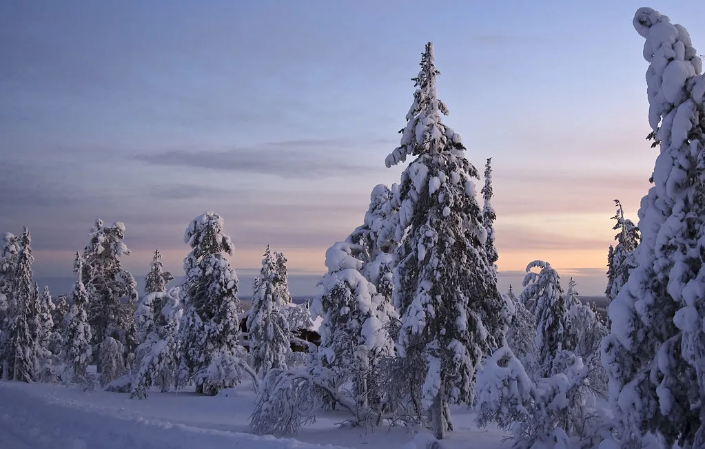 Lappland, Levi