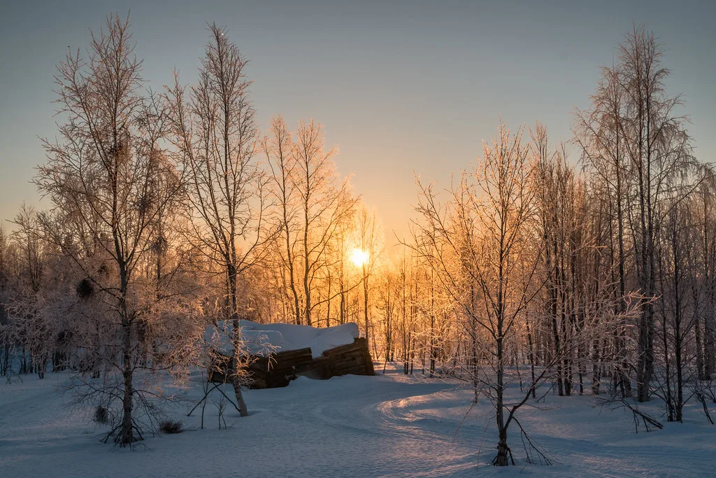 Winter Morning, Levi