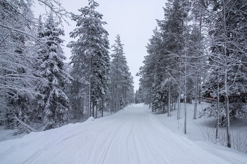 Winter, Levi
