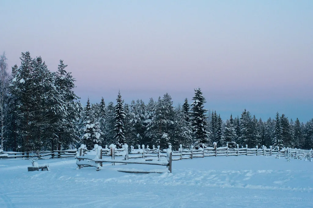 Husky's panorama, Luosto