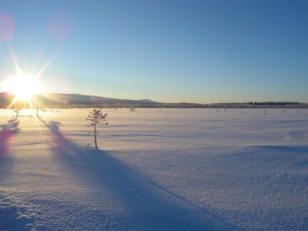 Lappland, Levi