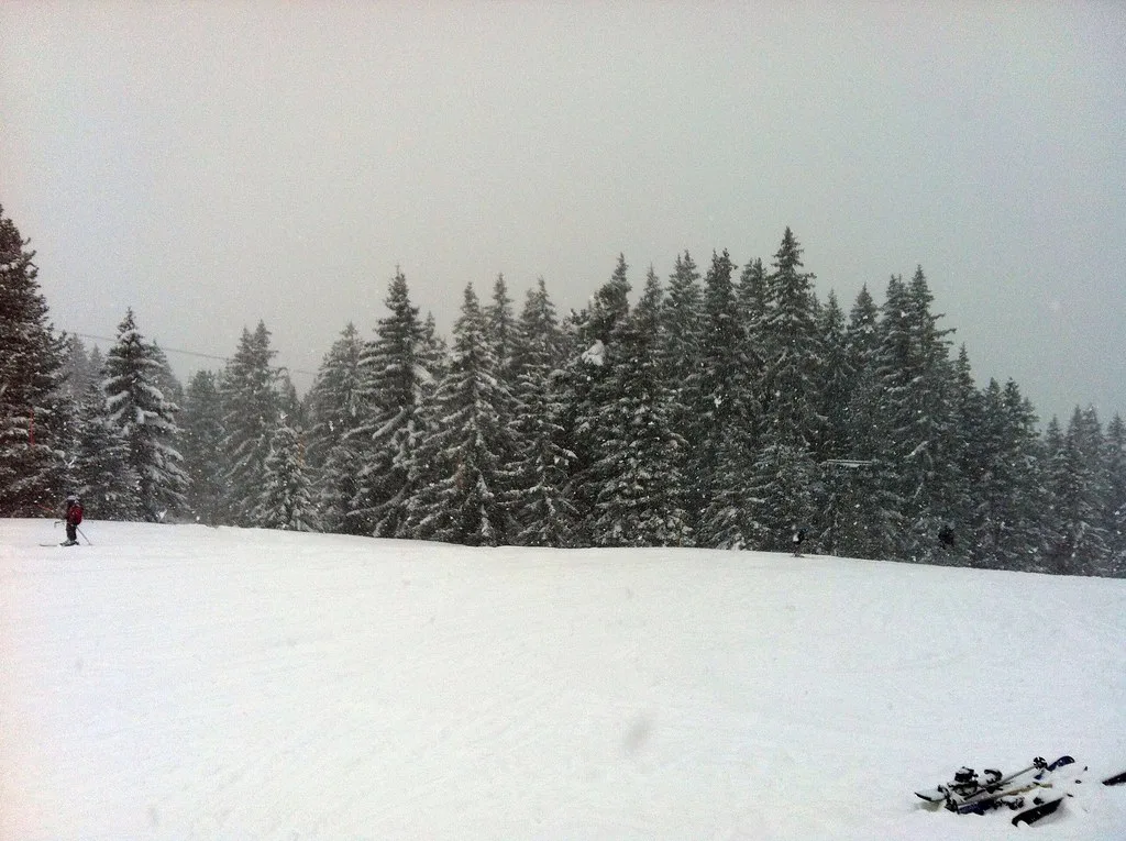 Snowing, Europe