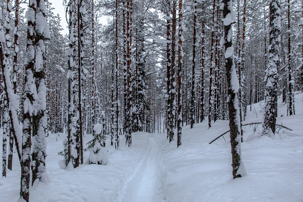 Korouoma Canyon, Lapland, Rovaniemi