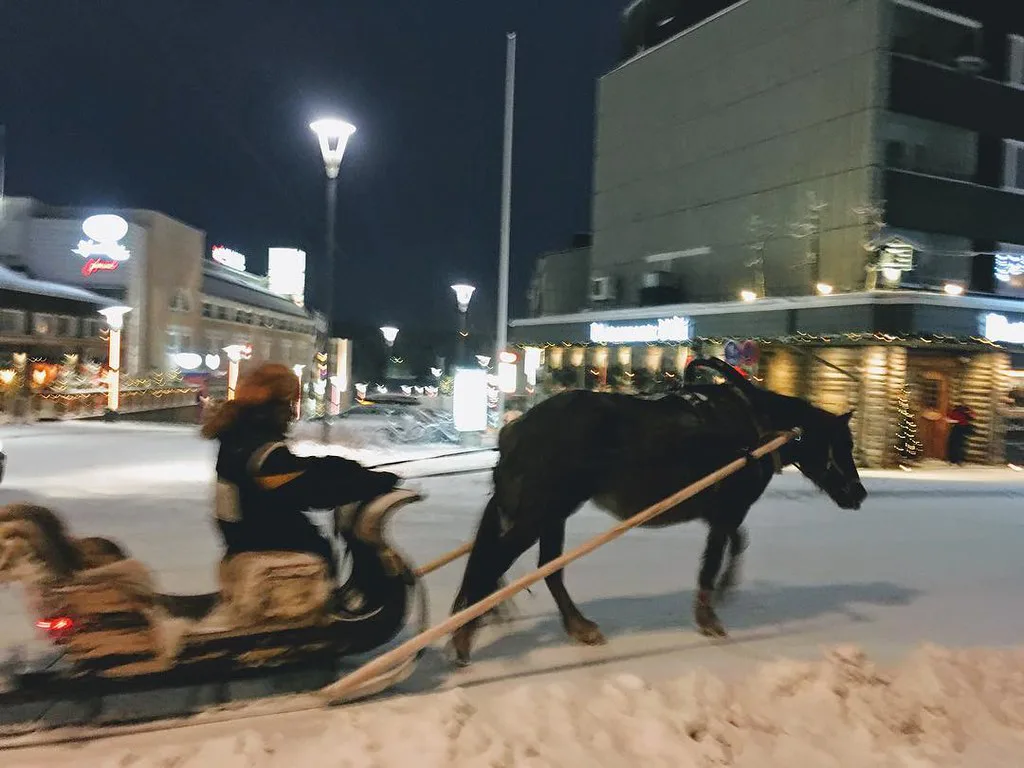 Horse sleigh riding in Rovaniemi #lapland #visitrovaniemi #arctic #snow #winter #christmas