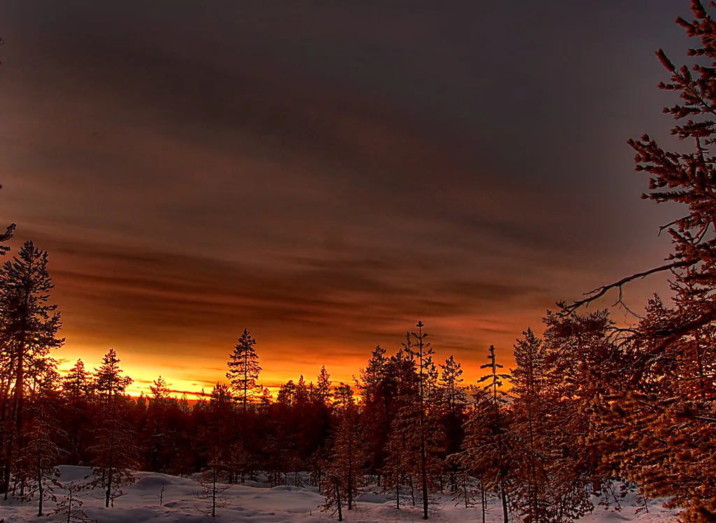 lappish sunrise, Rovaniemi