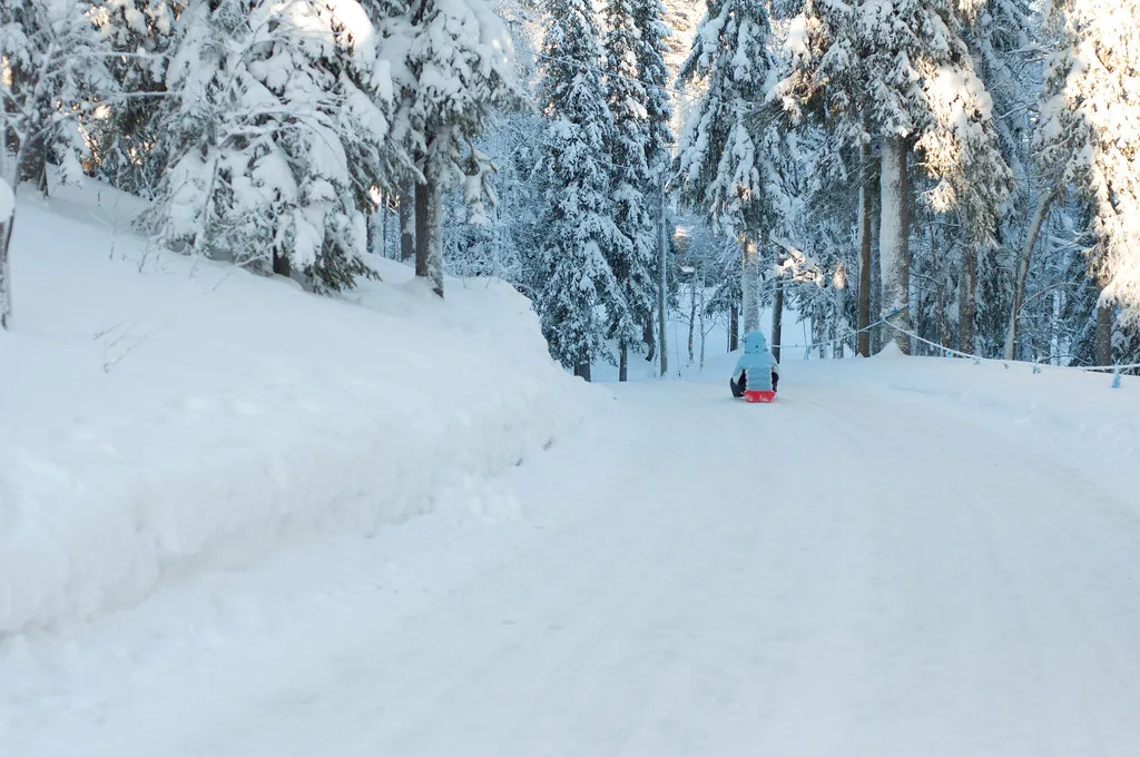 Con el trineo de nuevo!, Rovaniemi
