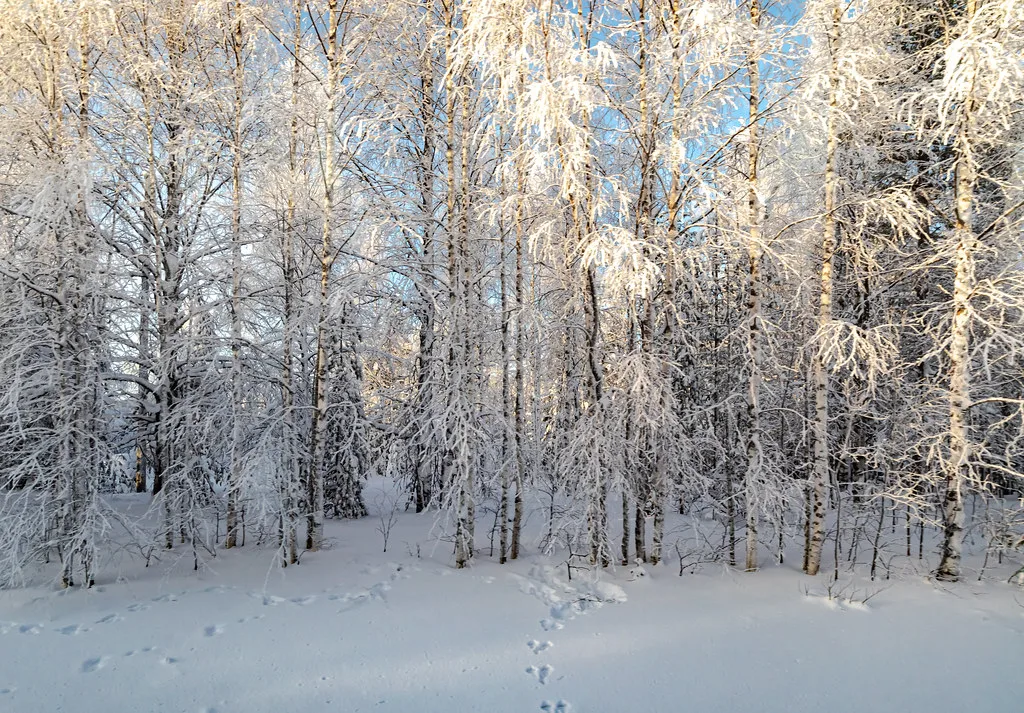 Lapland, Finland, Rovaniemi