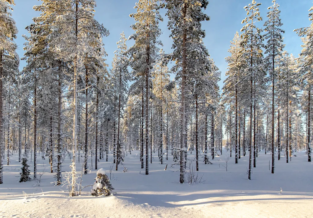 Lapland, Finland, Rovaniemi