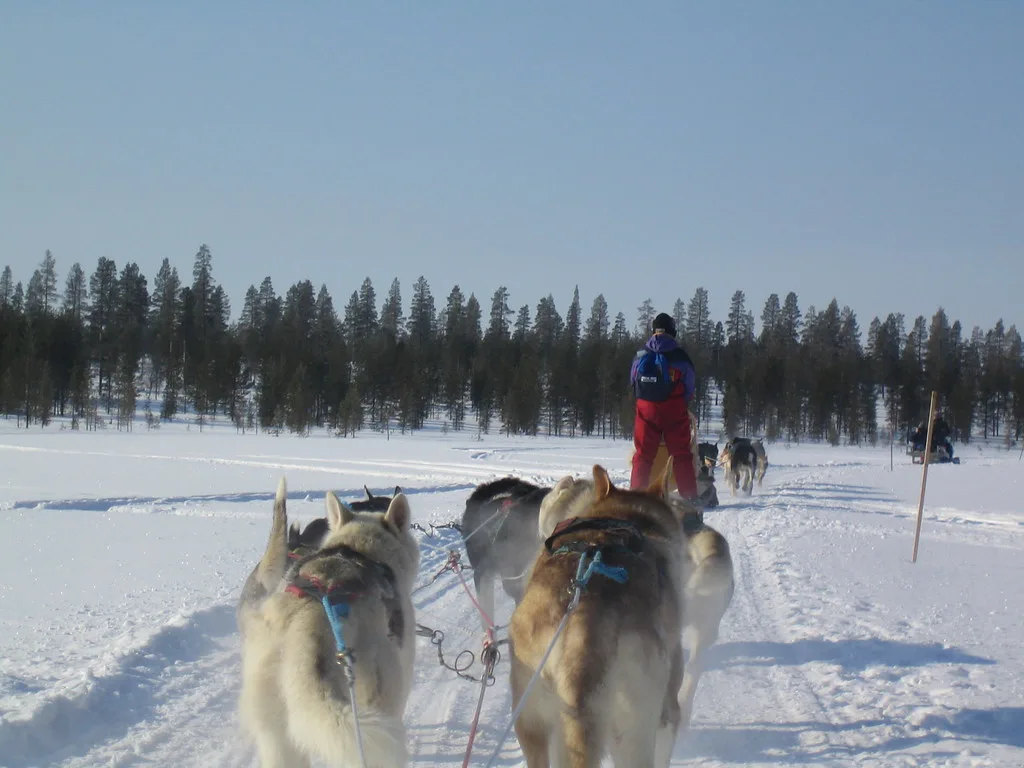 husky safari, Saariselkä
