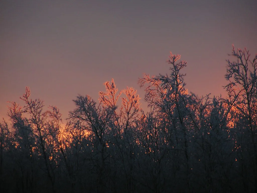 Ice Wood Fire, Swedish Lapland