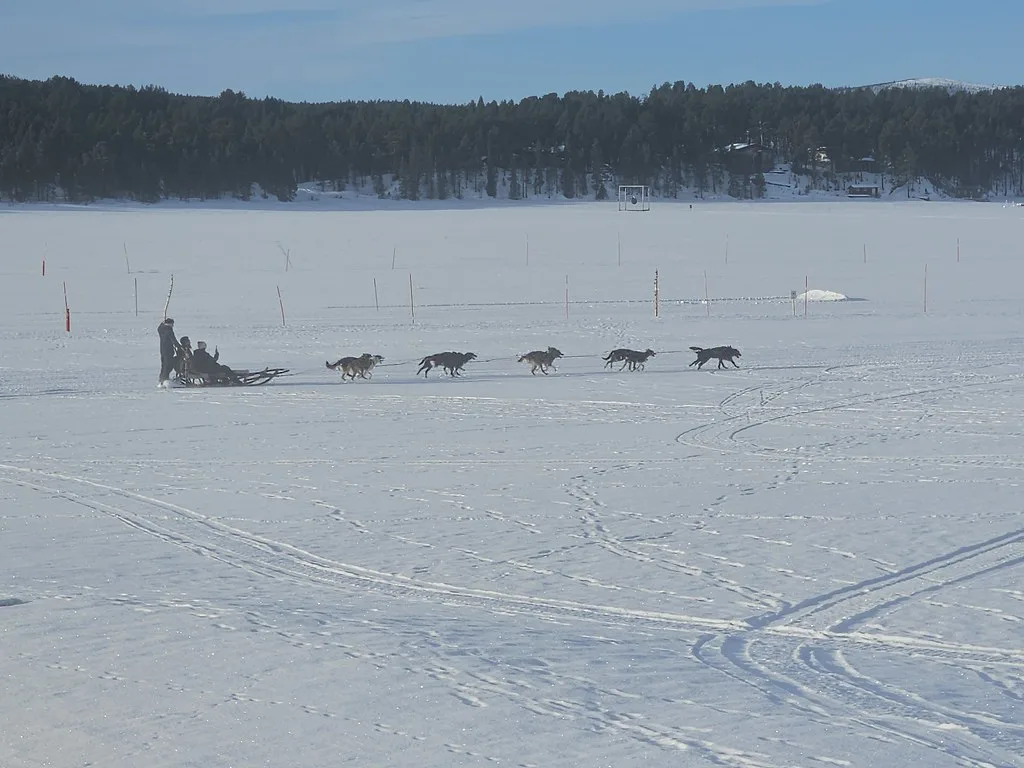 And we're off, Swedish Lapland