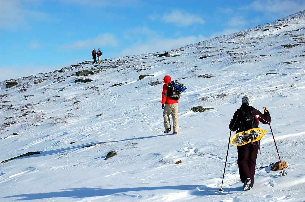 Hiking Nuolja @ Björkliden, Swedish Lapland