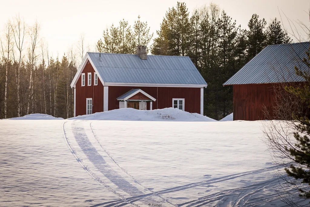 Golden Snow, Swedish Lapland