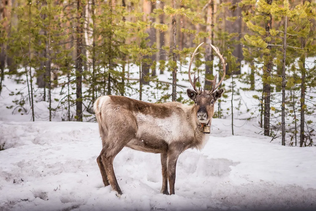 Swedish Lapland, Sweden