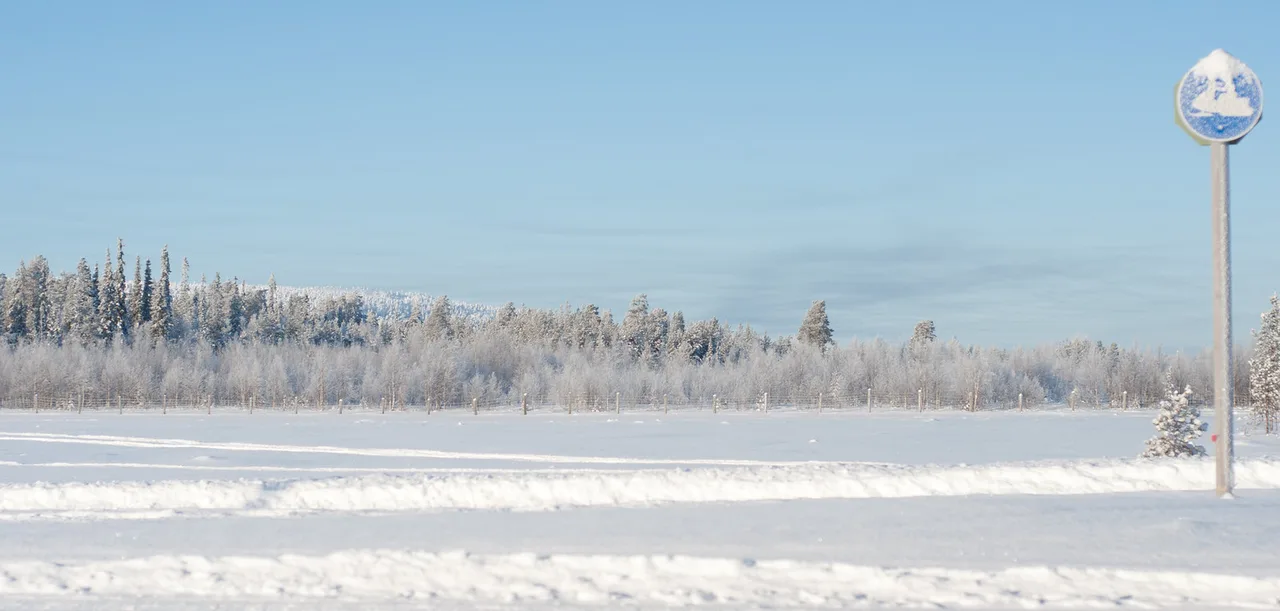 Paisaje polar, Luosto